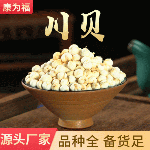 Chuan Bei Powder (Fritillaria cirrhosa) — Dried Food Herb, 500g