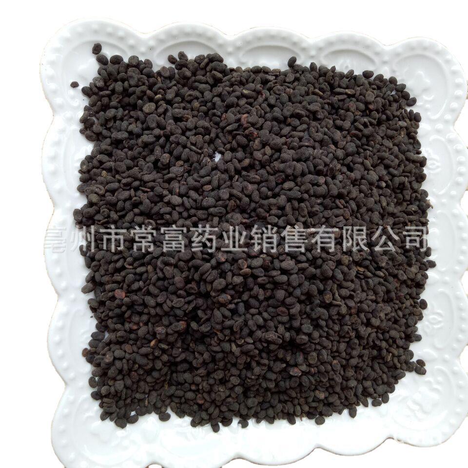 Psoralea Fruit Bu Gu Zhi Dried Whole Seeds 500g Traditional Chinese Herb from Yunnan - Image 5