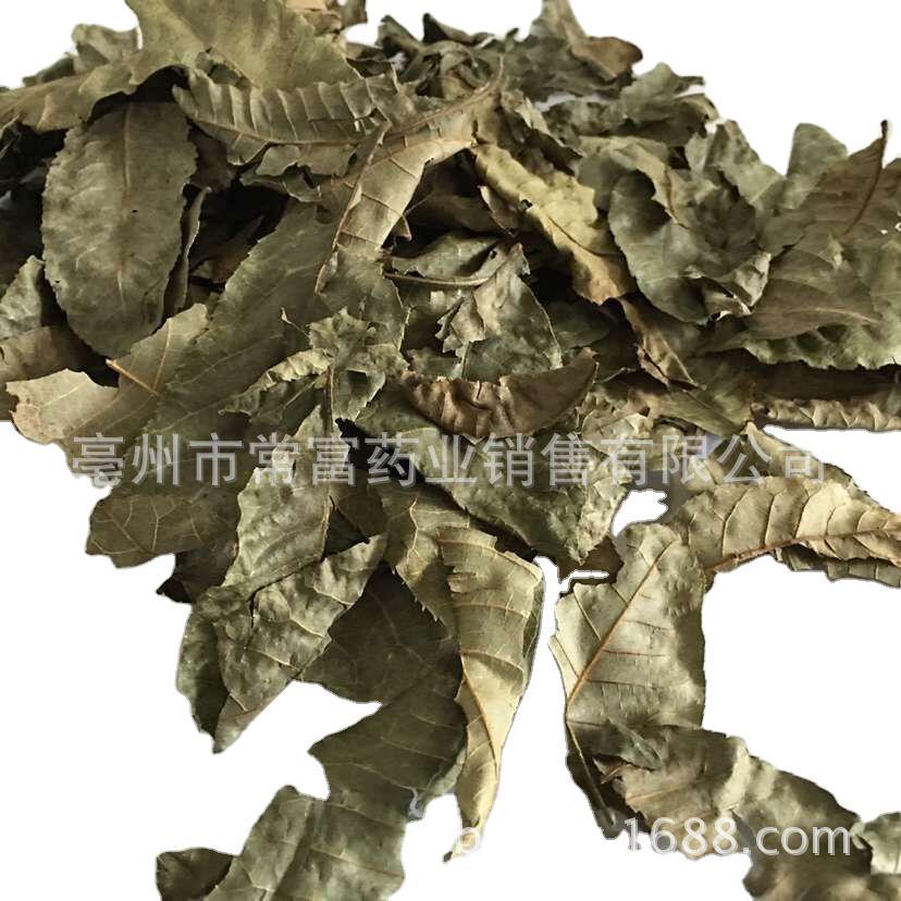Cyclocarya Pilius Qing Qian Liu Whole Leaf Tea 500g Fujian Origin - Image 5