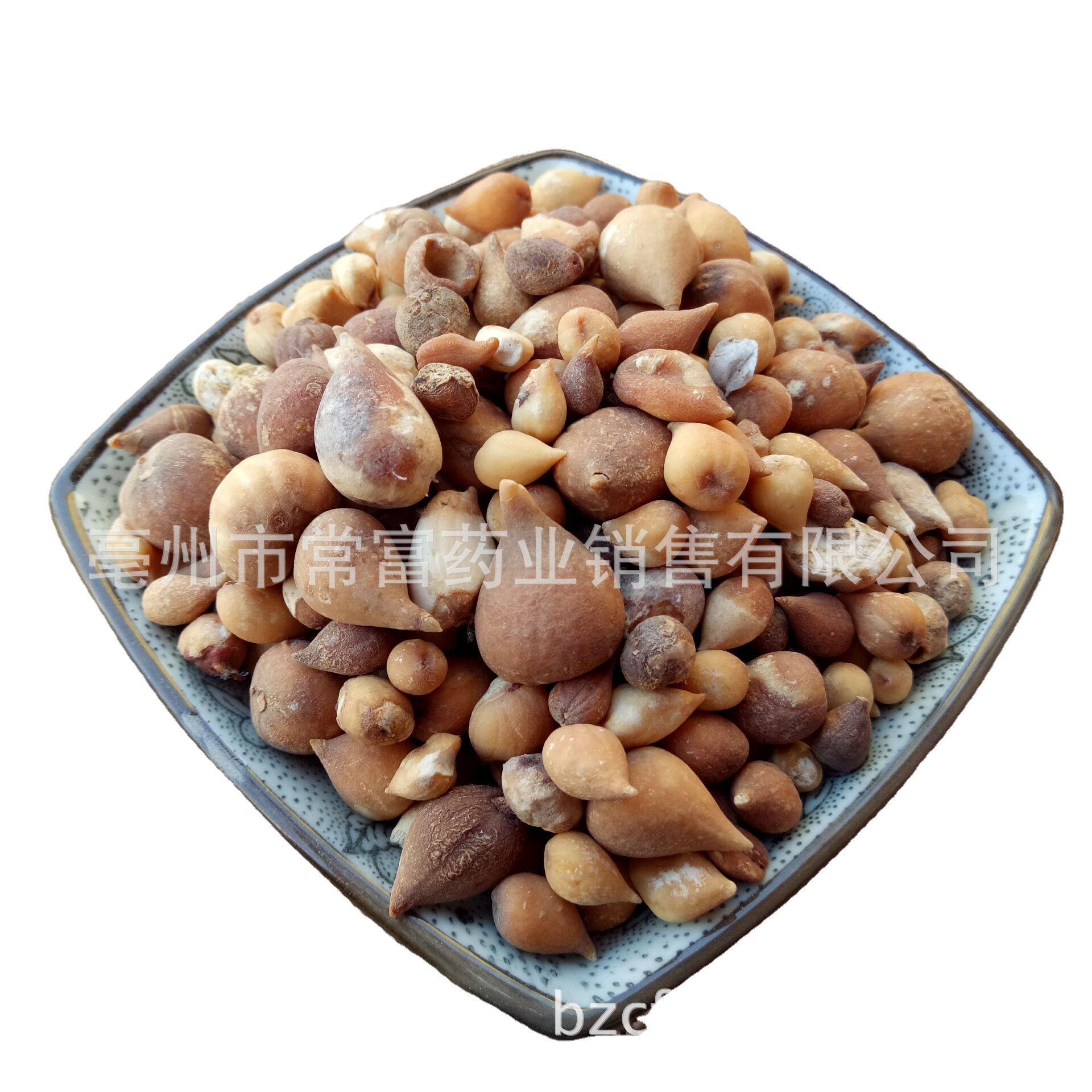 Dried Guang Gu Ci Bulbs 500g Natural Sun Dried Traditional Chinese Herb for Decoction and Culinary Use - Image 5