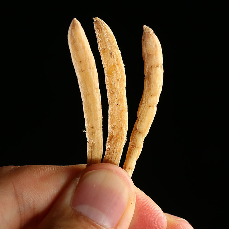 Tai Zi Shen (Pseudostellaria heterophylla) — Dried Food Herb for Soup & Tea, 500g - Image 3
