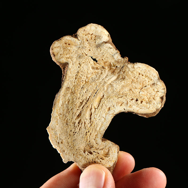 Bai Zhu Slices (Atractylodes macrocephala) — Dried Food Herb for Soups & Cooking - Image 3