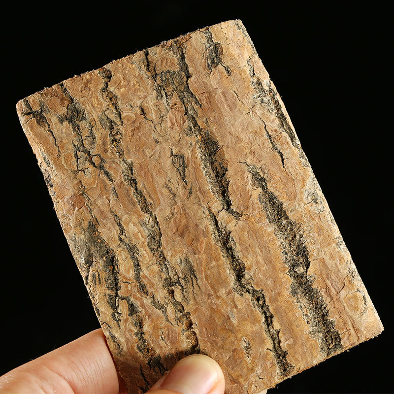 Eucommia Bark & Male Flower Tea (Eucommia ulmoides) — Dried Food Herb Slices, 500g - Image 2