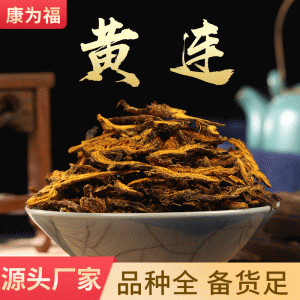 Huang Lian Slices (Coptis chinensis) — Dried Bitter Herb for Cooking & Herbal Use