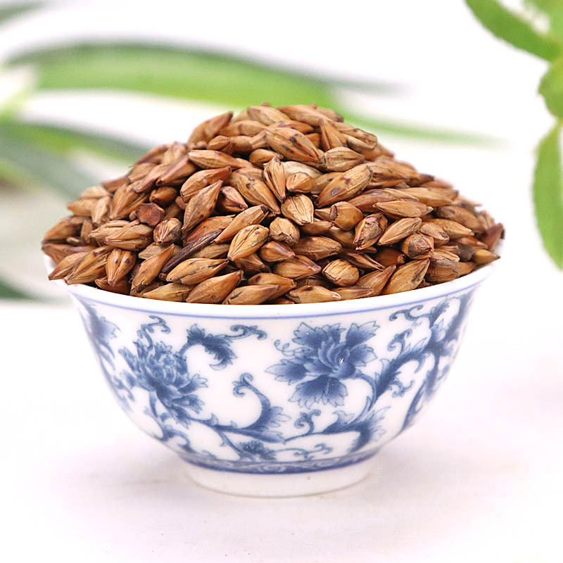 Roasted Barley Tea (Hordeum vulgare) — Aromatic Low-Temp Baked Barley Malt Herbal Tea, 500g - Image 3