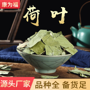 Lotus Leaf (Nelumbo nucifera) — Dried Herbal Tea & Decoction Pieces, Whole Leaf, Cut Leaf, 500g