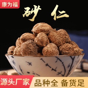 Sha Ren (Amomum villosum) Yangchun Sha — Dried Food-Herb Fruit for Cooking & Wellness
