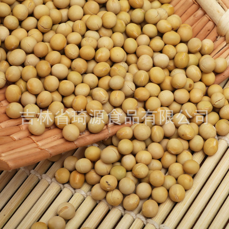 Roasted Soybeans Northeast China Specialty Ready to Eat Soybean Snack Bulk Wholesale - Image 2