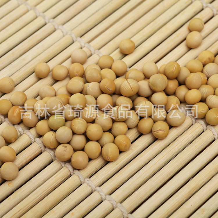 Roasted Soybeans Northeast China Specialty Ready to Eat Soybean Snack Bulk Wholesale - Image 3