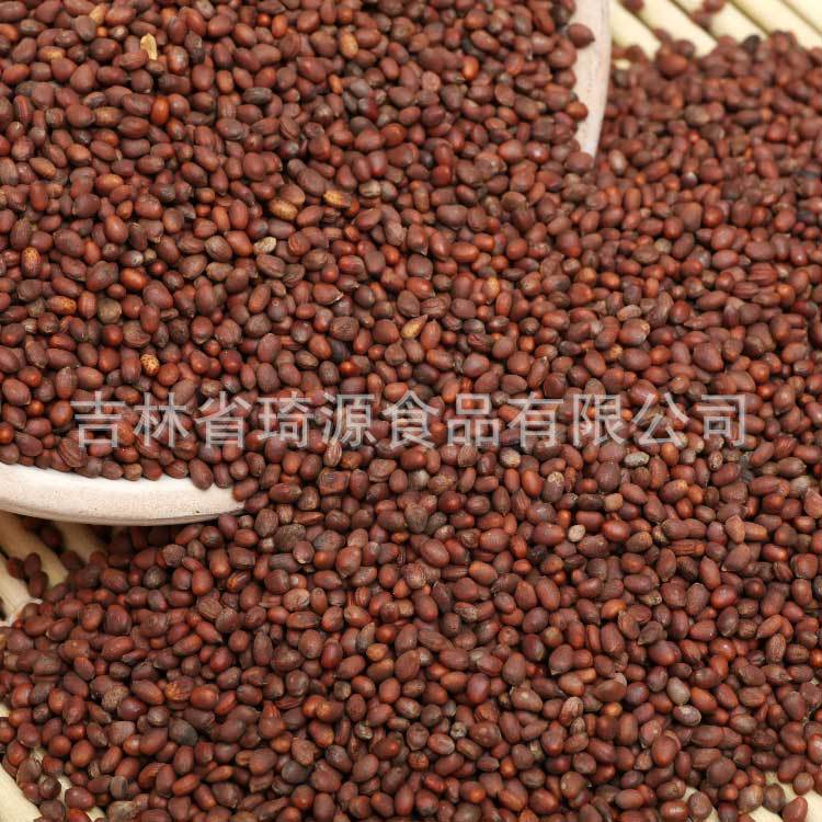 Low Temperature Baked Radish Seeds Bulk Da Luo Zi Ready to Eat Herbal Snack - Image 2
