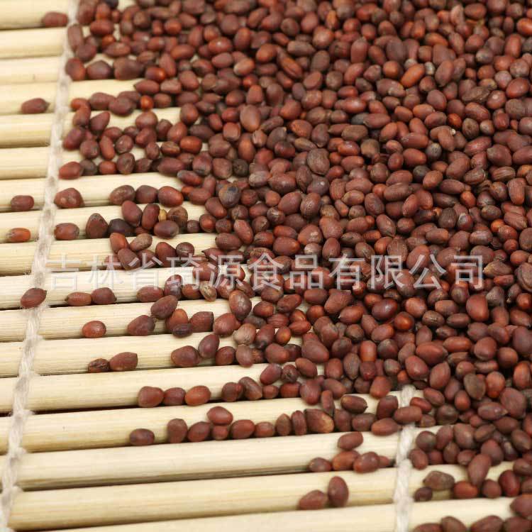 Low Temperature Baked Radish Seeds Bulk Da Luo Zi Ready to Eat Herbal Snack - Image 3