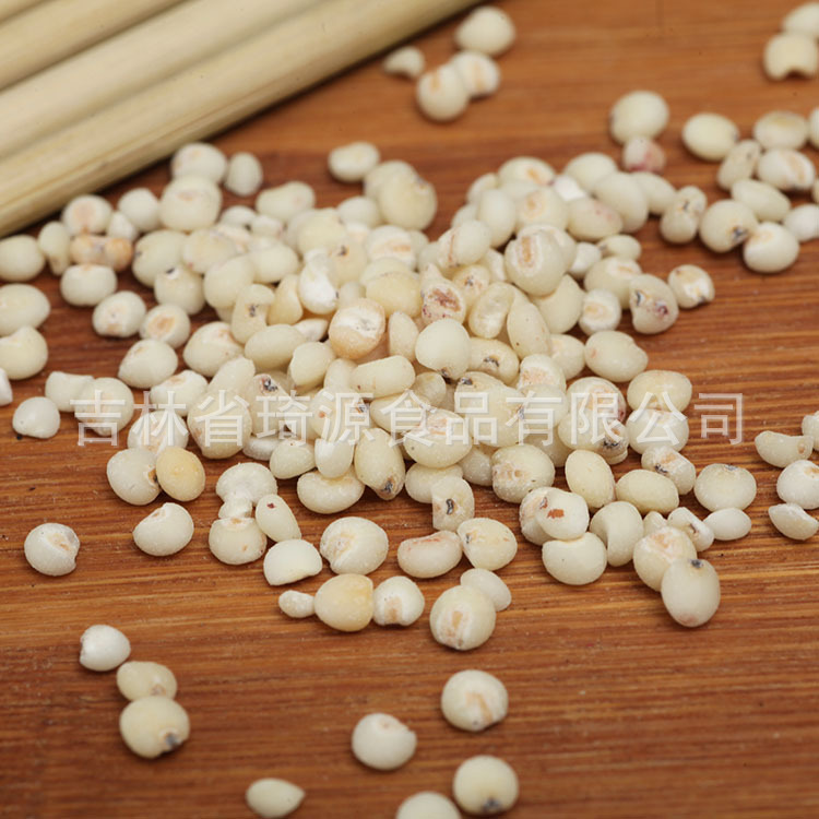Low Temperature Baked Sorghum Millet Grain for Soy Milk and Congee - Image 2