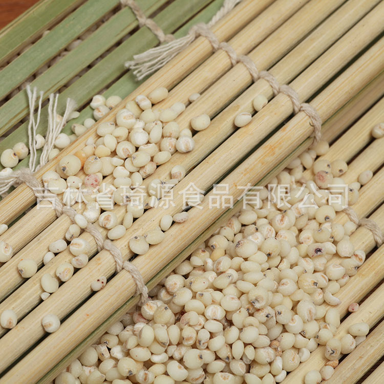 Low Temperature Baked Sorghum Millet Grain for Soy Milk and Congee - Image 3