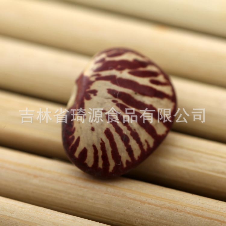Low Temperature Roasted Cooked Kidney Beans Wholesale Five Grain Soy Milk Ingredient - Image 3