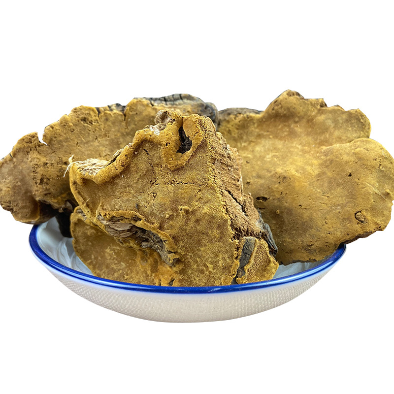 Sang Huang Mulberry Yellow Fungus Dried Slices 500g Traditional Herbal Decoction Ingredient - Image 5