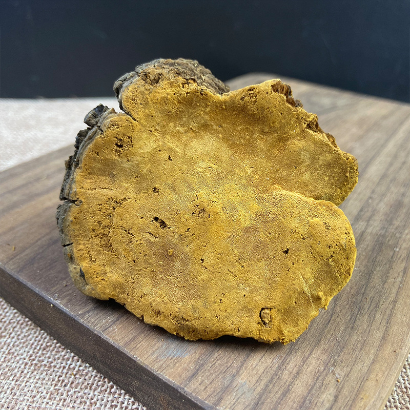 Sang Huang Mulberry Yellow Fungus Dried Slices 500g Traditional Herbal Decoction Ingredient - Image 3
