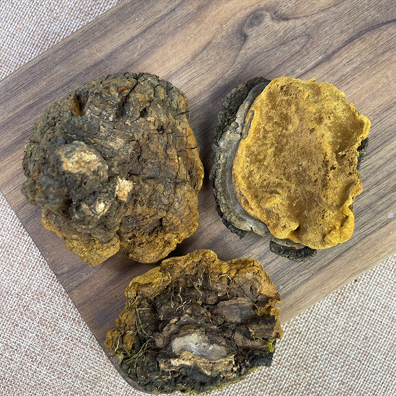 Sang Huang Mulberry Yellow Fungus Dried Slices 500g Traditional Herbal Decoction Ingredient - Image 4