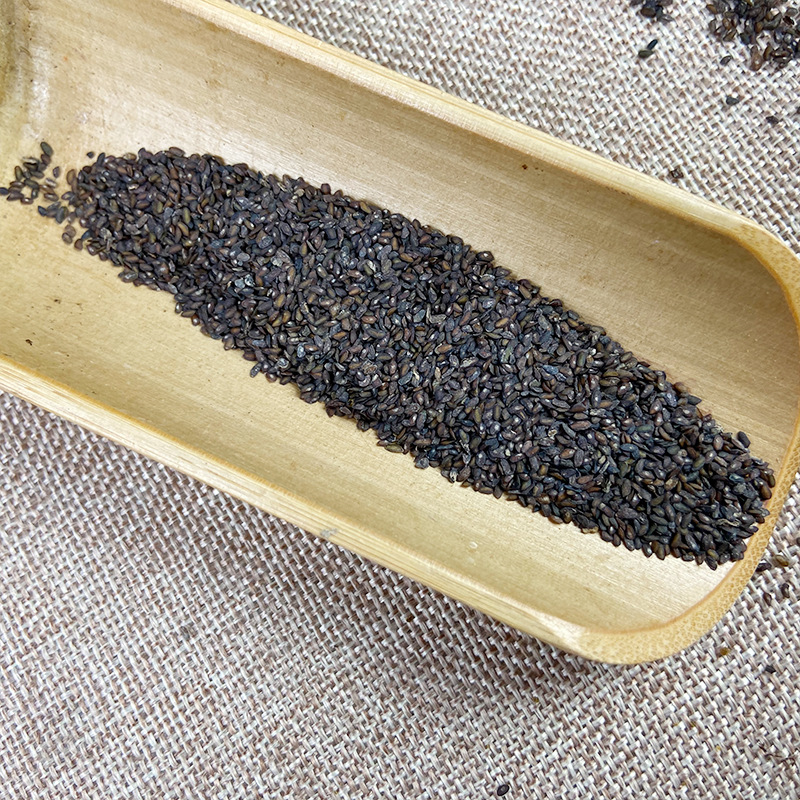 Plantago Seed Che Qian Zi Dried Whole Seeds 500g for Culinary and Traditional Herbal Use - Image 4