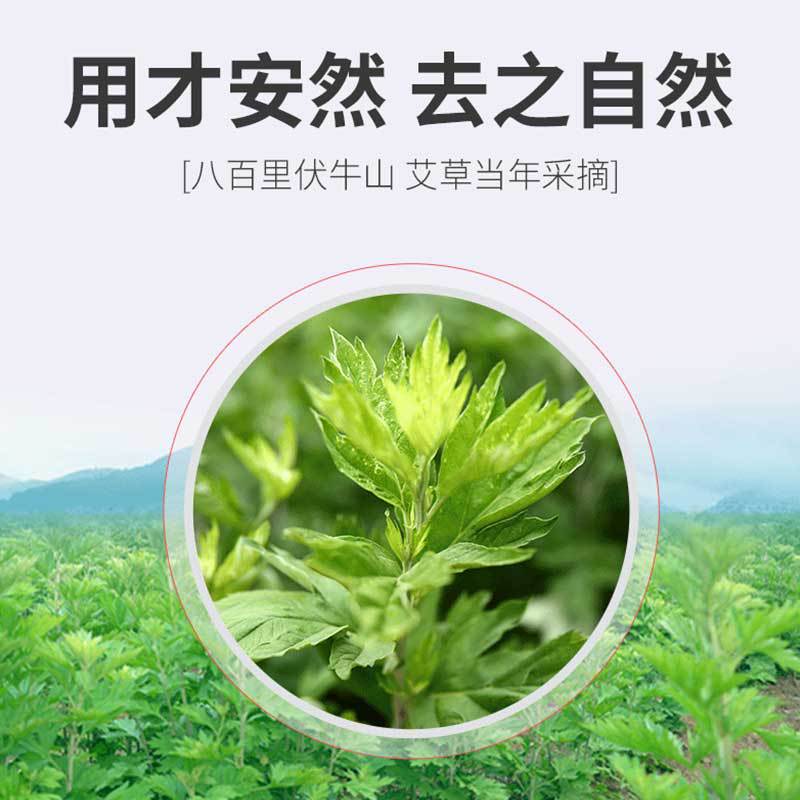 Mugwort Foot Soak Salt Ai Ye 15g x 10 Packets Traditional Herbal Foot Bath - Image 4