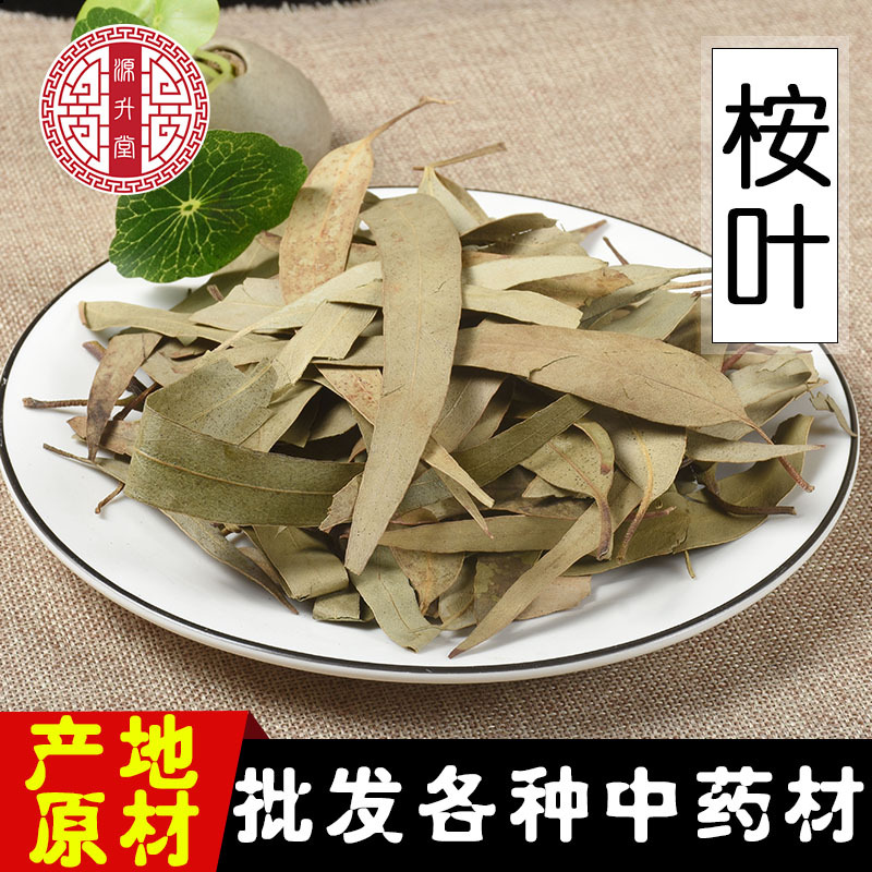Eucalyptus Leaves (Eucalyptus globulus) — Dried Herbal Leaf for Tea & Steam - Image 2