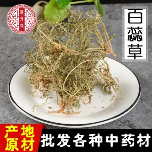 Bai Rui Cao (Thesium chinense) — Dried Whole Herb, New-Crop Clean Lot for Herbal Decoction
