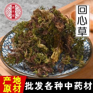 Hui Xin Cao (Rhodobryum roseum) — Dried Bulk Medicinal Herb, 500g