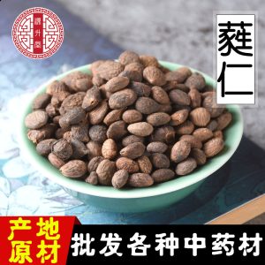 Rui Ren (Prinsepia uniflora) — Dried Wild Cherry Seed for TCM Herbal Decoctions