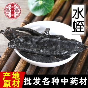 Shui Zhi (Hirudo / Leech) — Dried Clean-Water Leech, Hand-Selected Food Herb
