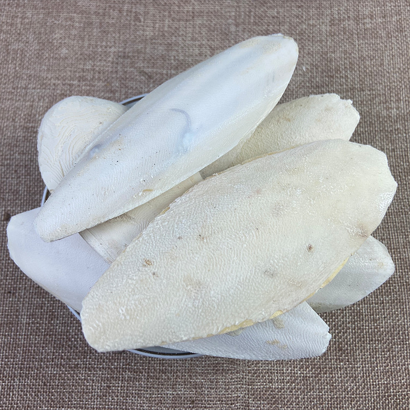 Cuttlebone Hai Piao Xiao 海螵蛸 Dried Cuttlefish Bone 500g Natural Sun Dried Whole Form - Image 3