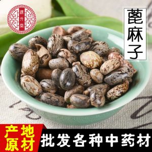 Castor Bean Seeds (Ricinus communis) — Dried Bi Ma Ren Herbal Seed, 500g