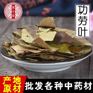 Shi Da Gong Lao Ye (Mahonia bealei) — Dried Mahonia Leaf for Herbal Tea & Decoction