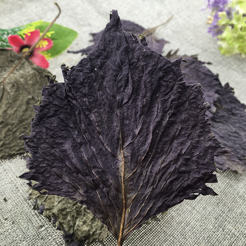 Dried Perilla Leaf Zi Su Ye 500g Farm Sun Dried Culinary Herb for Fish Crab and Shrimp Dishes - Image 4