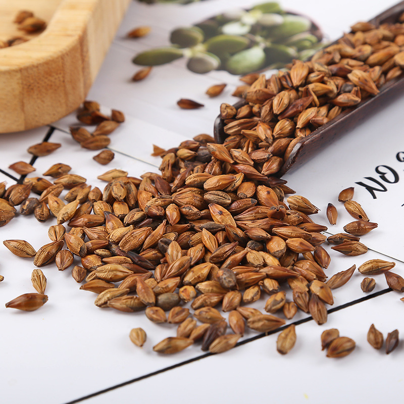 Roasted Barley Tea (Hordeum vulgare) — Bulk 500g Loose Grain Tea for Restaurants & Home - Image 3