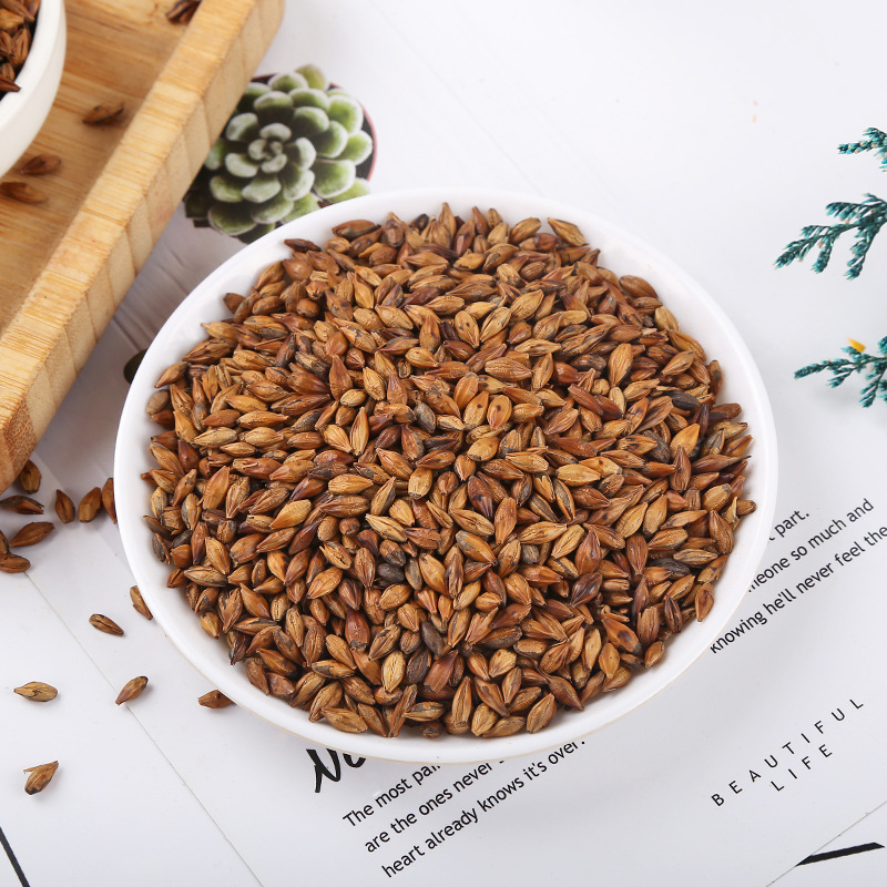 Roasted Barley Tea (Hordeum vulgare) — Bulk 500g Loose Grain Tea for Restaurants & Home - Image 2