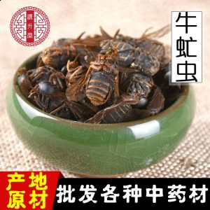 Niu Meng Chong (Tabanus) — Dried Horsefly Insect Herb, 500g Bulk
