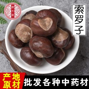 Suo Luo Zi (Aesculus chinensis) — Dried Chinese Buckeye Seed, Raw Herb 500g