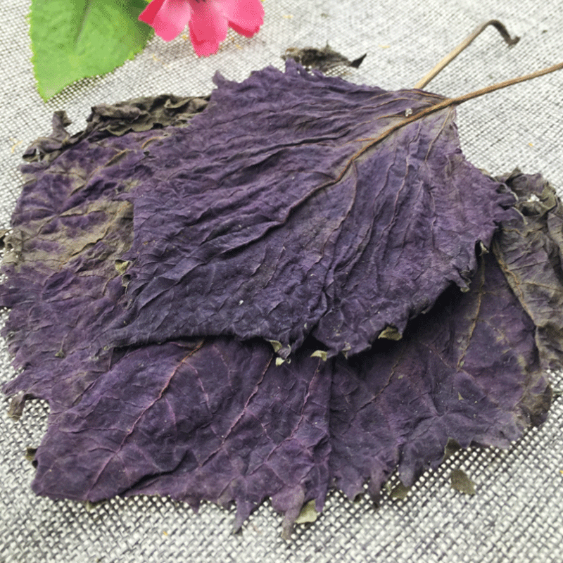 Dried Perilla Leaf Zi Su Ye 500g Farm Sun Dried Culinary Herb for Fish Crab and Shrimp Dishes - Image 2