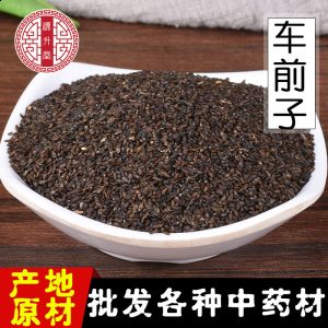 Che Qian Zi (Plantago asiatica Seed) — Dried Food-Herb Plantain Seed, Raw Botanicals