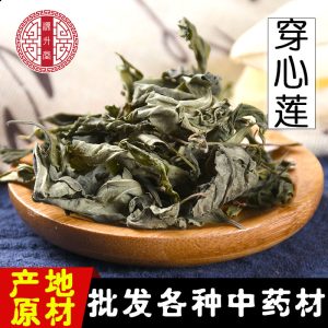 Chuan Xin Lian Herb (Andrographis paniculata) — Dried Stems & Leaves, Bitter Cooling Food Herb