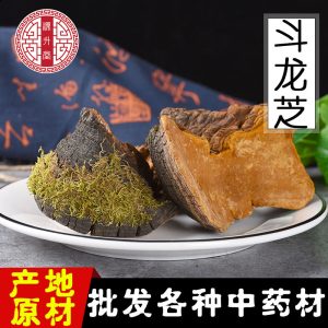 Dou Long Zhi (Ganoderma) — Tibetan Dried Reishi Mushroom, Bulk 500g Food Herb