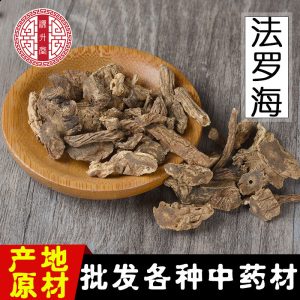 Fa Luo Hai Root (Heracleum rapula) — Dried Sichuan Decoction Herb, 500g Bulk