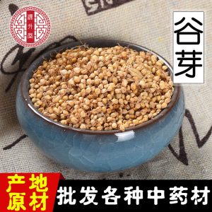 Gu Ya (Setaria italica Sprouted Grain) — Dried Food Herb for Tea & Congee