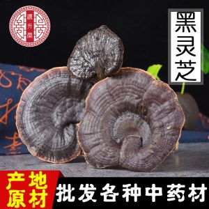 Black Reishi Mushroom (Ganoderma sinense) — Dried Whole Herb for Wine Infusion & Soup