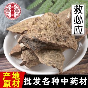 Jiu Bi Ying Bark (Ilex rotunda) — Dried Food Herb, Unsulfured Thick Bark, 500g