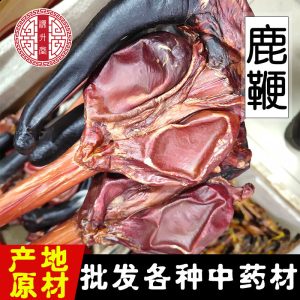 Deer Penis (Cervus elaphus) Whole Branch — Dried TCM Food Herb, Bulk Wholesale