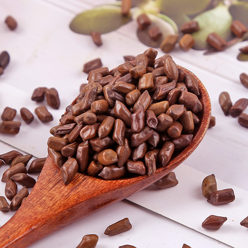 Cassia Seed (Semen Cassiae) — Roasted Jue Ming Zi for Herbal Tea & Pillow Filling, 500g - Image 3