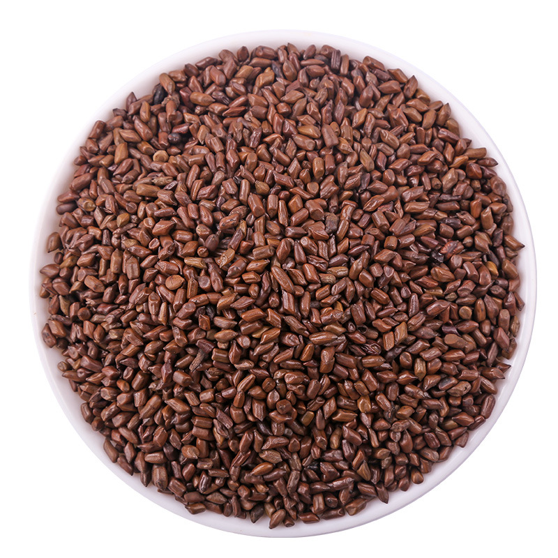 Cassia Seed (Semen Cassiae) — Roasted Jue Ming Zi for Herbal Tea & Pillow Filling, 500g - Image 5