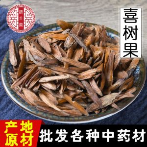 Xi Shu Guo (Camptotheca acuminata) — Dried Fruit of the Happy Tree, Unsulfured Raw Herb