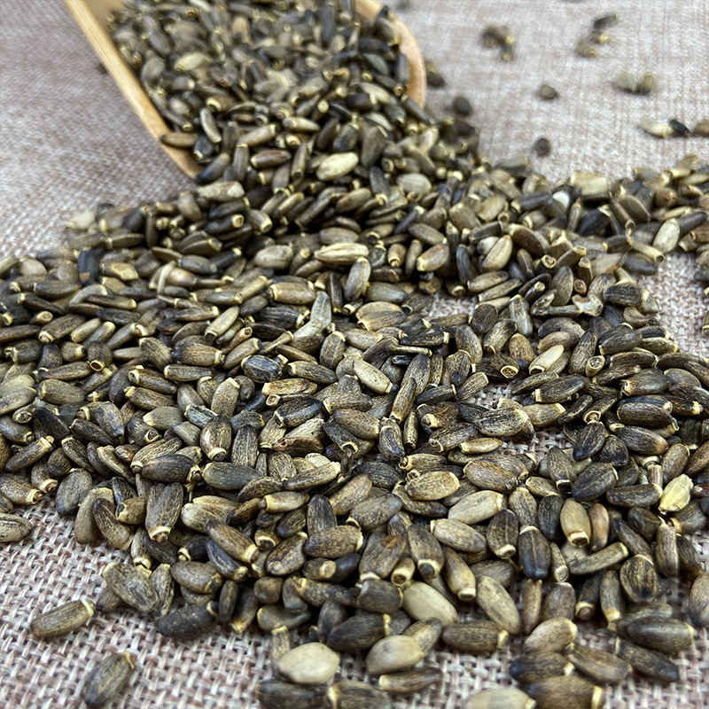 Milk Thistle Seed Shui Fei Ji 500g Whole Herb for Decoction and Culinary Use - Image 3