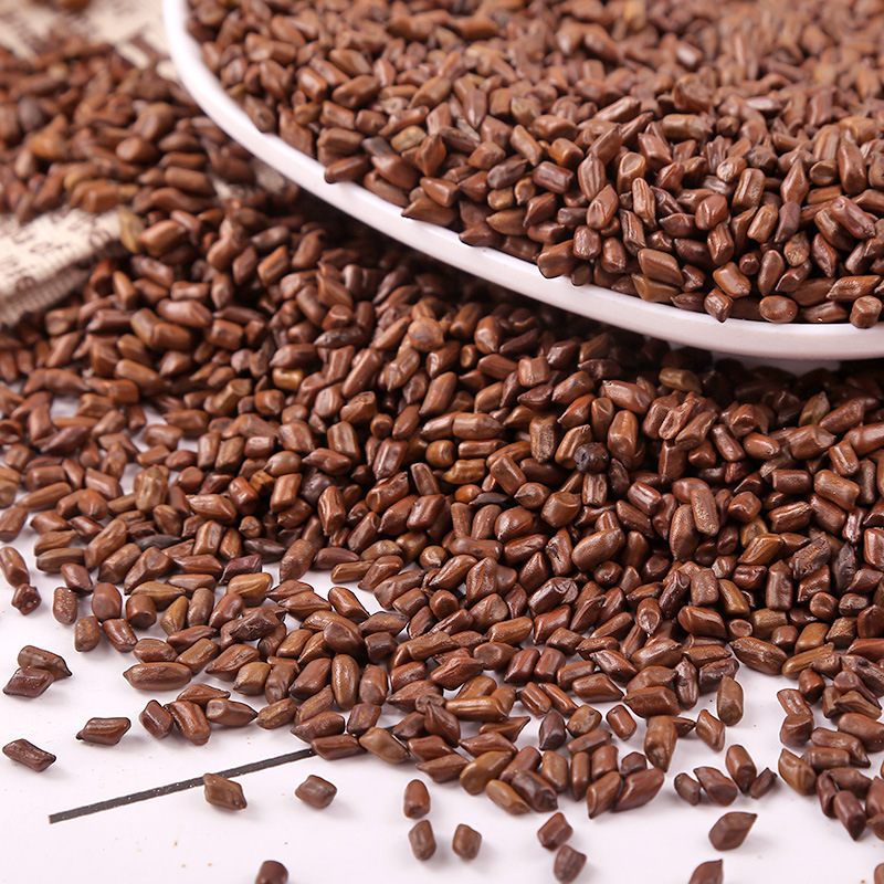 Cassia Seed (Semen Cassiae) — Roasted Jue Ming Zi for Herbal Tea & Pillow Filling, 500g - Image 4